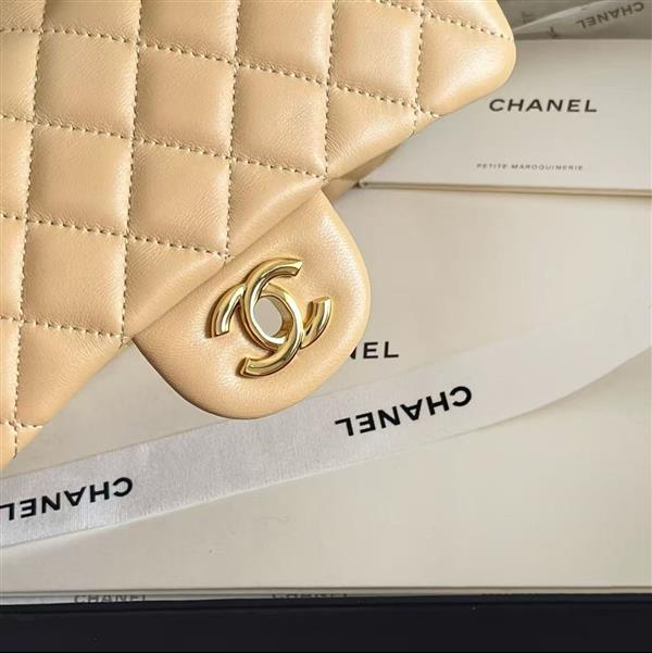 2026127205647923 380